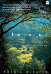 Image of book cover for title Imagine: New and Selected Poems