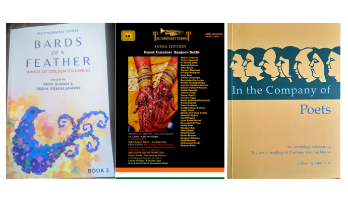 Anthologies 13